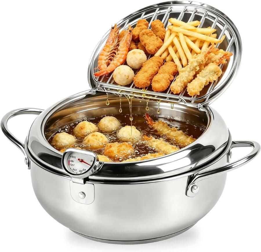 ApexArte Frituurpan Friteuse Frituurketel