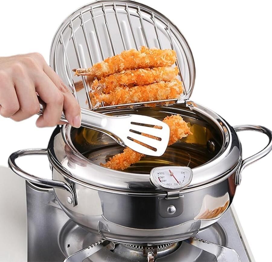 ApexArte Frituurpan Friteuse Frituurketel