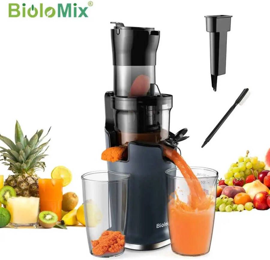 BioloMix Nueva Vida Slowjuicer Sapcentrifuge Voor Fruit en Groente 500ML 200W Koude Pers Juicer Zwart