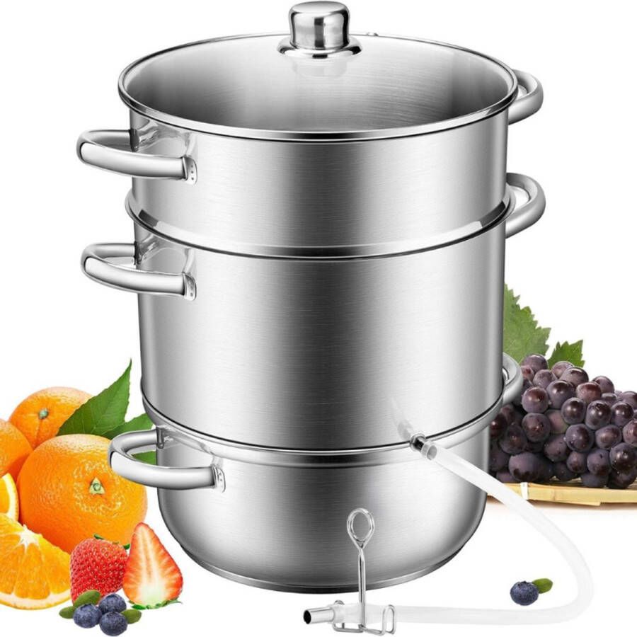 BOG Roestvrijstalen Stoompers Voor Fruit En Groenten Sapcentrifuge 9L Met Deksel Van Gehard Glas Geschikt Voor Inductie