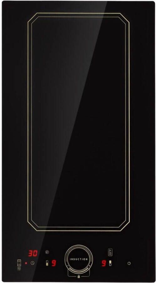 DailySupplies Inductie Kookplaat Vrijstaand Elektrische Kookplaat 2 Pits Keramische Zwart