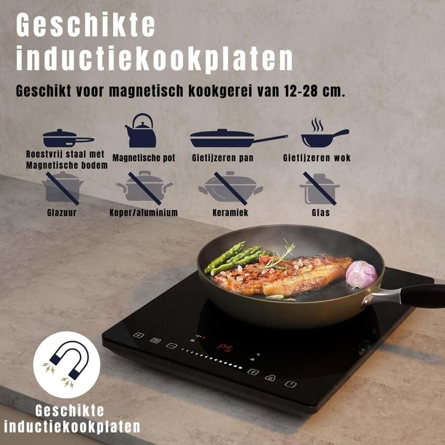 DNA Inductie Kookplaat Vrijstaand Inductie Kookplaat Inbouw Elektrische Kookplaat Zwart 29cm x 37cm x 5cm