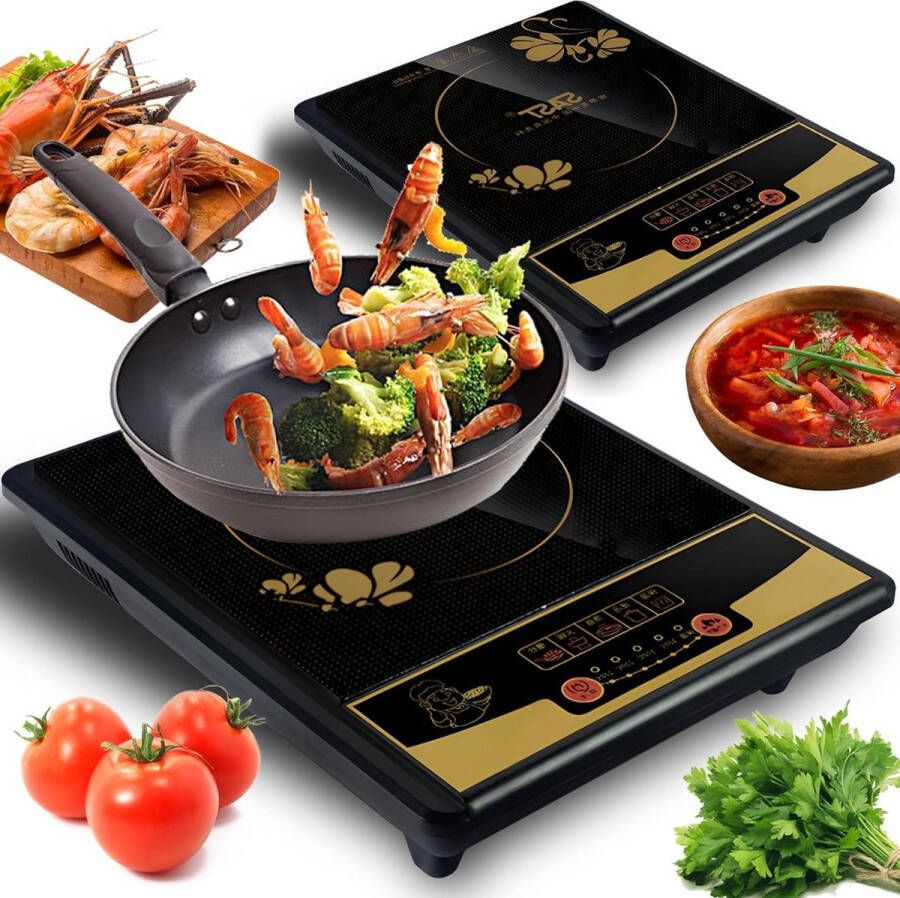 Senza Marchio 1-pits inductiekookplaat zwart 2200 W 4 temperatuurinstellingen touch-bediening