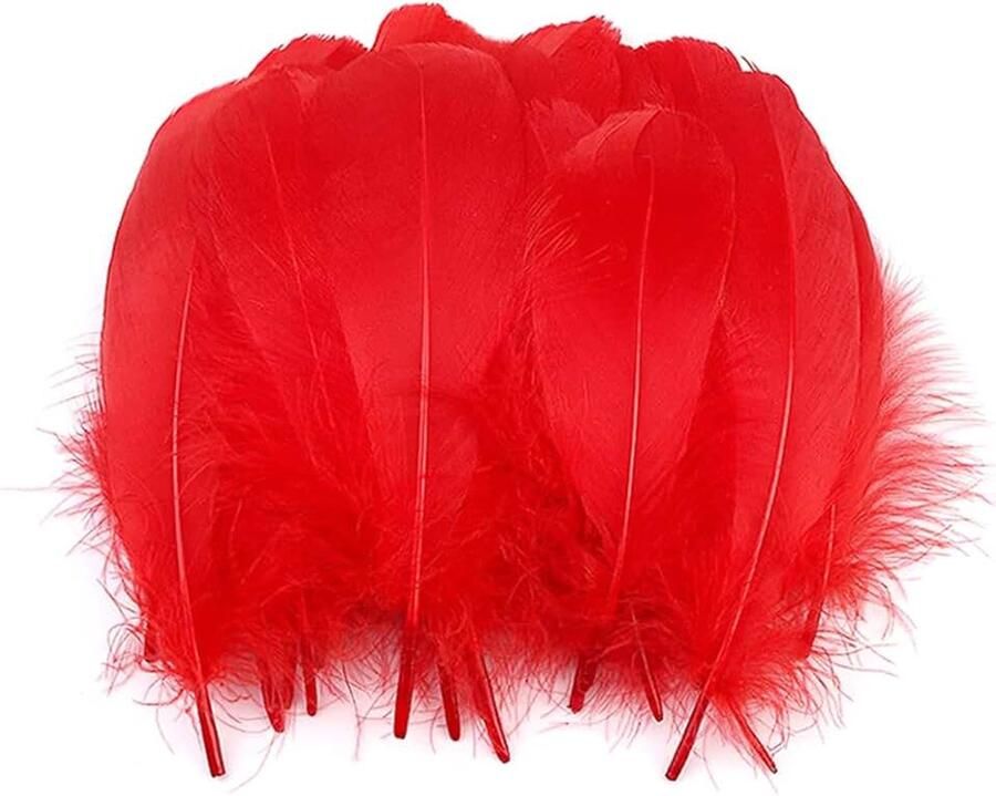 100 stuks kleurrijke veren om te knutselen natuurlijke veren ganzenveren indianen knutselveren voor doe-het-zelf kunstwerk maskers hoeden oorbellen haarsieraden dromenvanger bruiloft carnaval feestdecoratie 12-18 cm rood