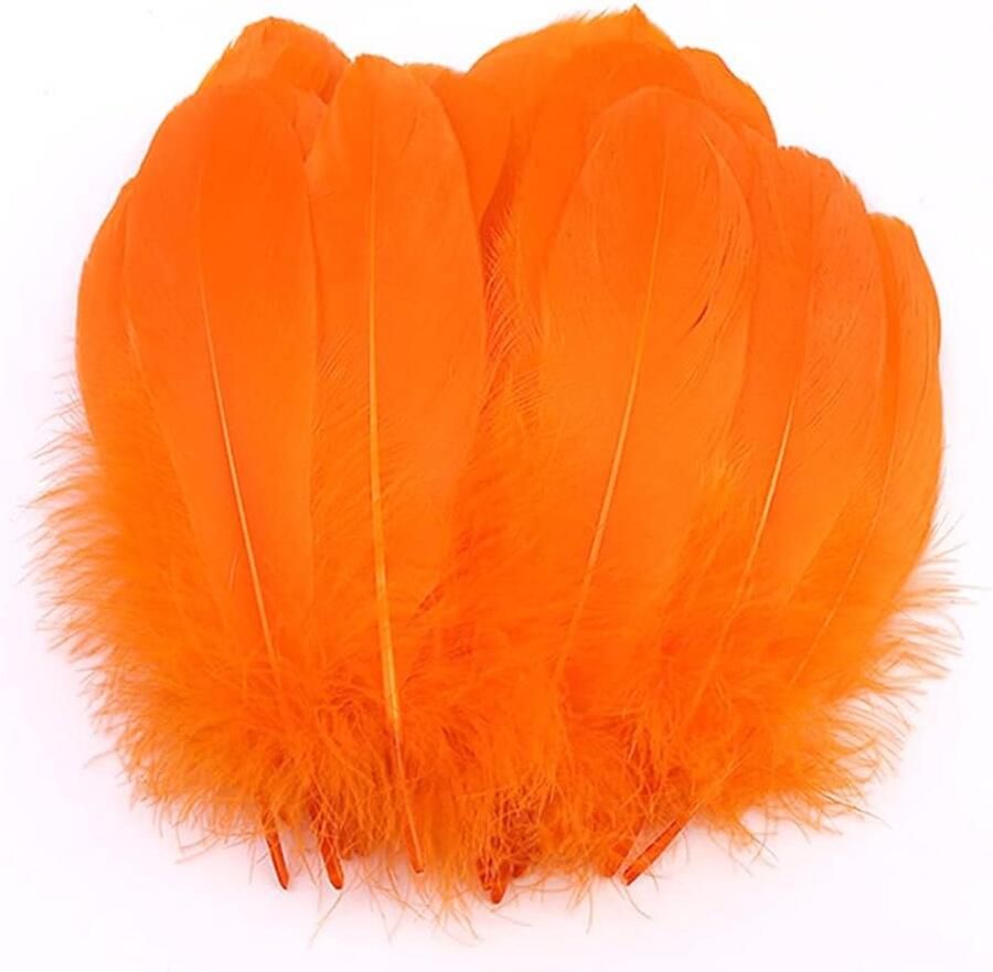 100 stuks kleurrijke veren om te knutselen natuurlijke veren ganzenveren indianen knutselveren voor doe-het-zelf kunstwerk maskers hoeden oorbellen haarsieraden dromenvanger bruiloft carnaval feestdecoratie 12-18 cm oranje