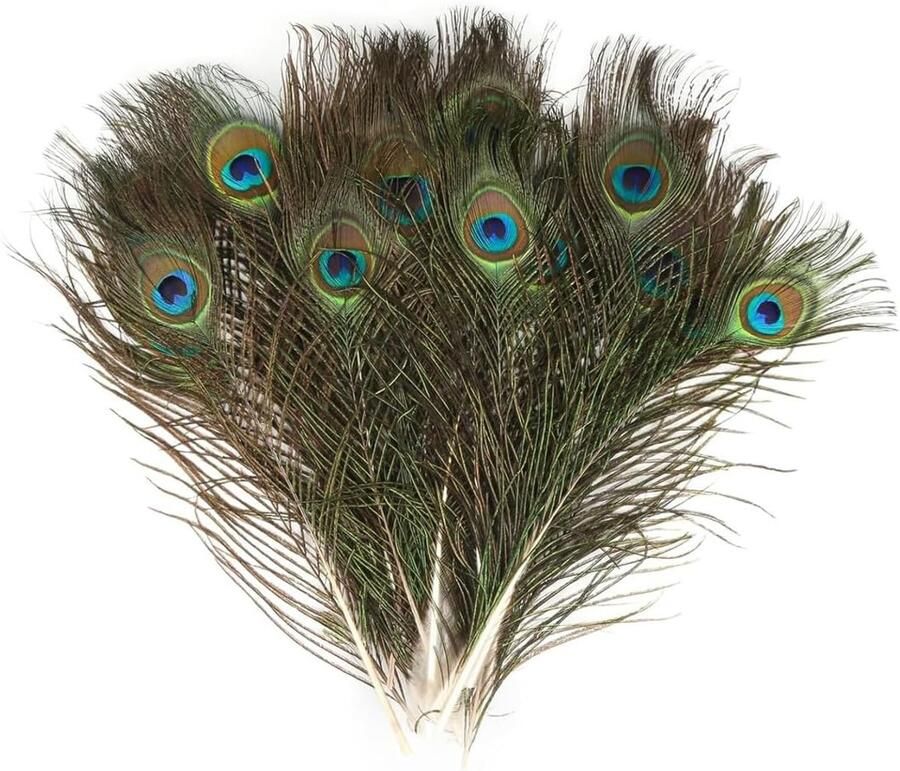 12 stuks natuurlijke pauwenveren 25-30 cm iriserend oog 4-6 cm decoratieve veren voor hoeden carnavalsmaskers vazen en sieraden knutselaccessoires voor bruiloften en doe-het-zelf creaties