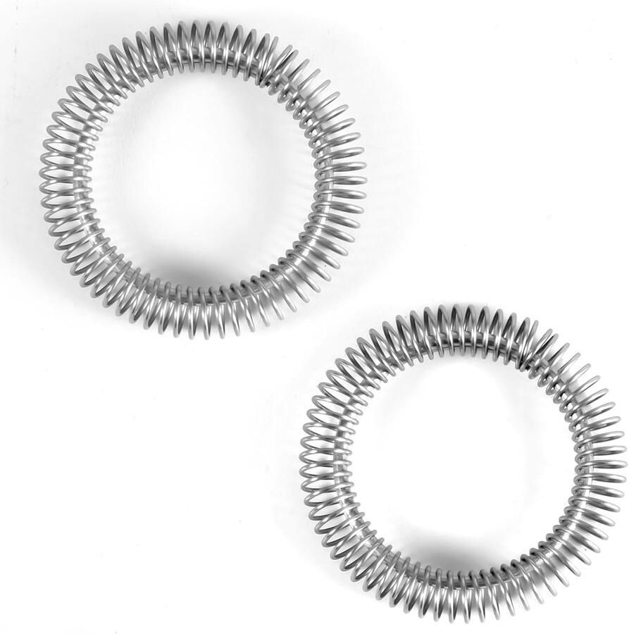 2 stuks spiraalveren voor Nespresso Aeroccino 3 4 Plus – roestvrijstalen vervangingsonderdelen (spiraalringen) voor de garde van de Nespresso-melkopschuimer