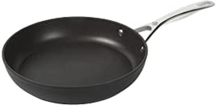 28 cm Roestvrijstalen Koekenpan Grijze Kleur