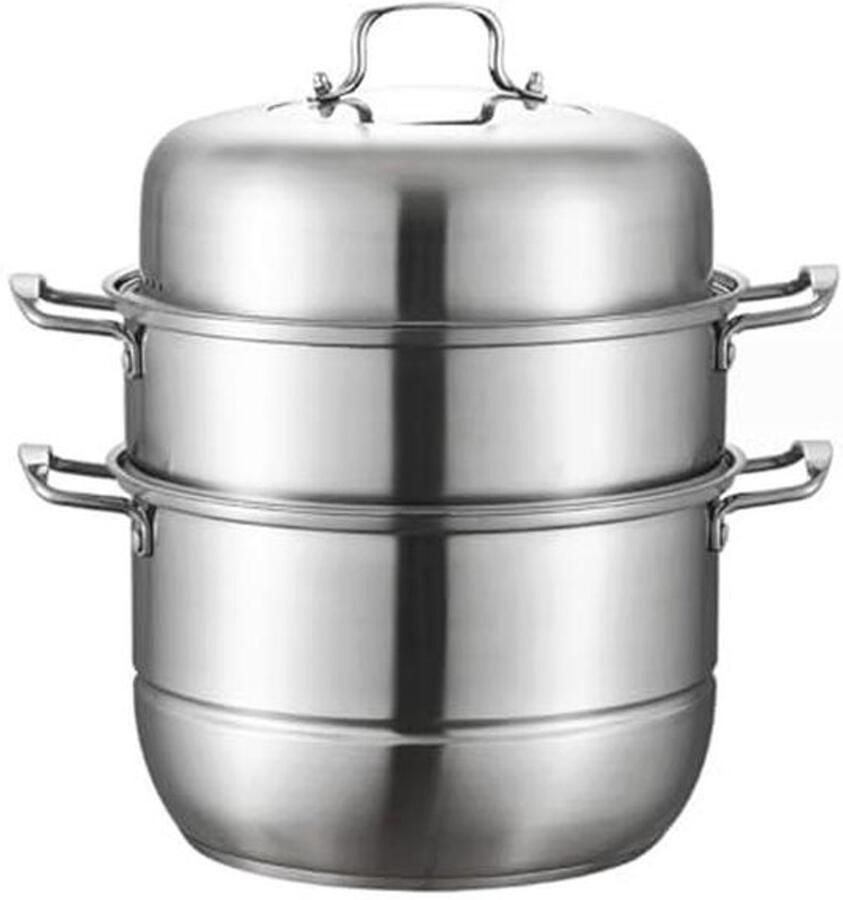 28 cm Stoompan van Duurzaam RVS Geschikt voor Inductie Elektrisch Gas en Halogeen Koken