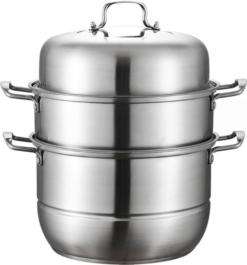 28 cm Stoompan van Duurzaam RVS Geschikt voor Inductie Elektrisch Gas en Halogeen Koken