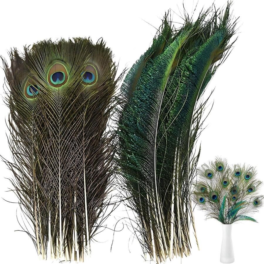 50 stuks pauwenveren 25-30 cm en 30-40 cm pauwenveren bulk voor doe-het-zelf knutselen carnaval feestvreugde maskeradekostuum bruilofts- en vakantiedecoraties