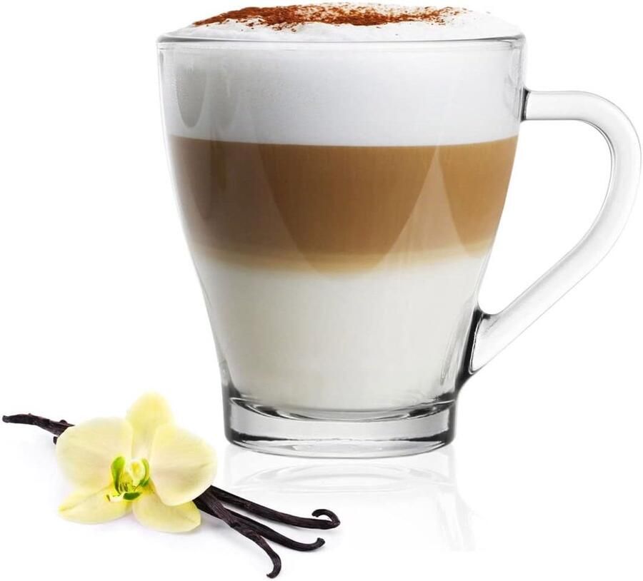 6 Cappuccino Koffieglazen Theeglazen 250 ml met Handvat en 6 Roestvrijstalen Lepeltjes Drinkglazen