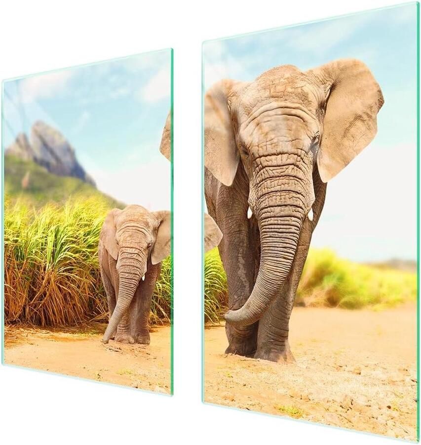 Afdekplaat fornuis Werkblad beschermer Keuken organiseren Gehard glas 65 x 52 cm Veelkleurig