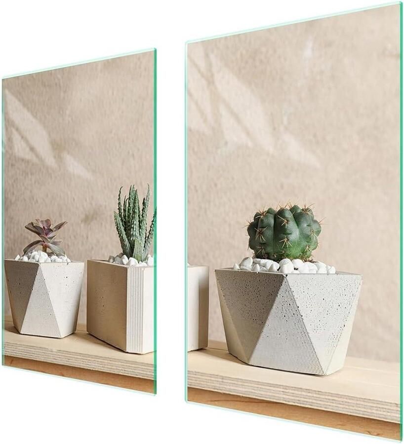 Afdekplaat fornuis Werkbladbeschermer glas Keuken beschermen Kras- en slagvast 75 x 52 cm Cactus print