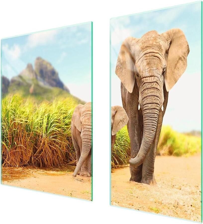 Afdekplaat fornuis Werkbladbeschermer glas Keuken Beschermen Kras- en slagvast 75 x 52 cm Veelkleurig