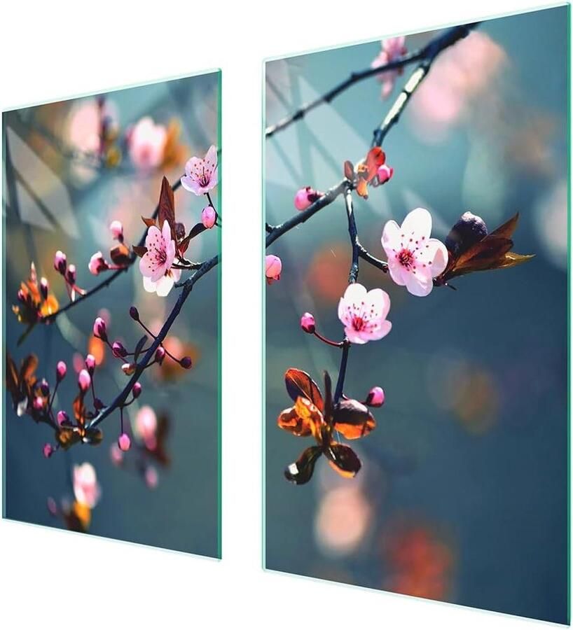 Afdekplaat fornuis Werkbladbeschermer glas Keuken organiseren Gehard glas 70 x 52 cm Veelkleurig
