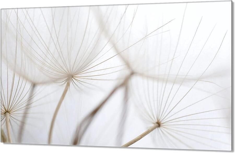 Afdekplaat Keramische Kookplaat Spatbescherming Glas Keuken Beschermen Gehard Glas 80x52 cm Bloemenprint