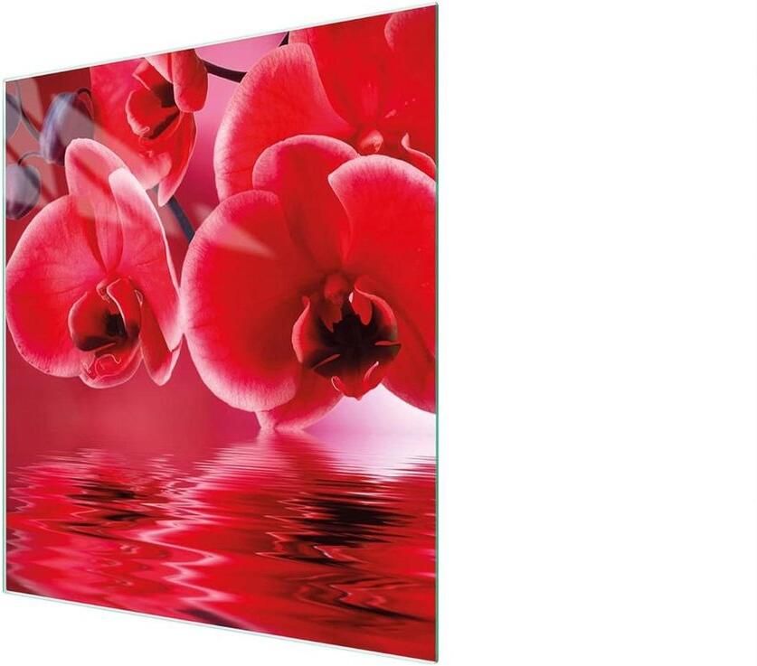 Afdekplaat Kookplaat Spatbescherming Glas Keuken Beschermen Gehard Glas 45 x 52 cm Orchid