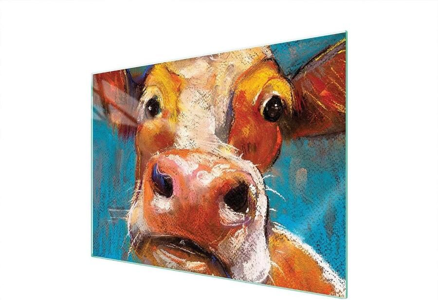 Afdekplaat Kookplaat Spatbescherming Glas Keuken Beschermen Gehard Glas 70 x 52 cm Decoratief