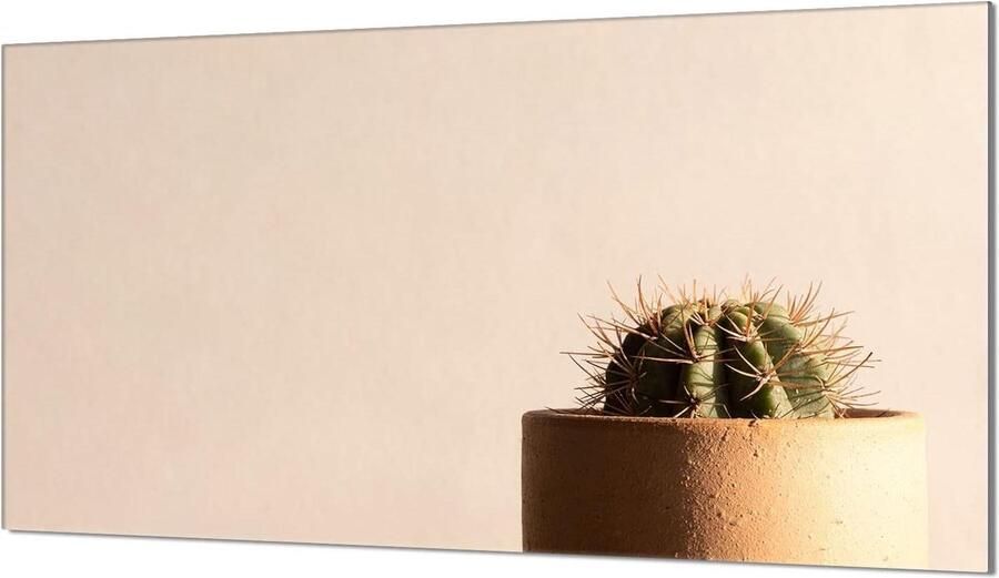 Afdekplaat Kookplaat Spatplaat Glas Keuken Beschermen Gehard Glas 90 x 52 cm Cactus