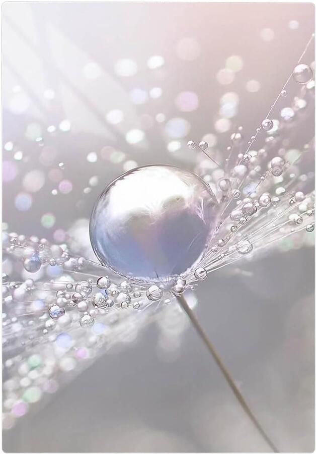 Afdekplaat Kookplaat Werkbladbeschermer Glas Keuken Decoratie Gehard Glas 35 x 52 cm Veelkleurig