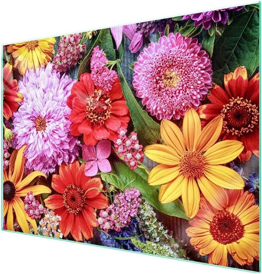 Afdekplaat Kookplaat Werkbladbeschermer Glasplaat Keuken Beschermen Gehard Glas 70 x 52 cm Veelkleurig