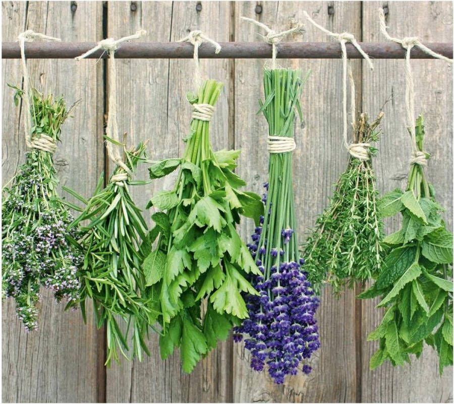 Afdekplaat kruiden glas 56x50x2 cm Moderne kookplaataccessoire 26301 afdekplaat voor gasfornuis