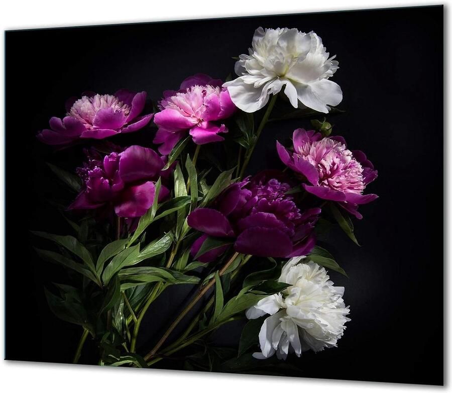 Afdekplaat voor fornuis Glasplaat kookplaat Keukenbescherming en decoratie 1-delig gehard glas 60 x 52 cm