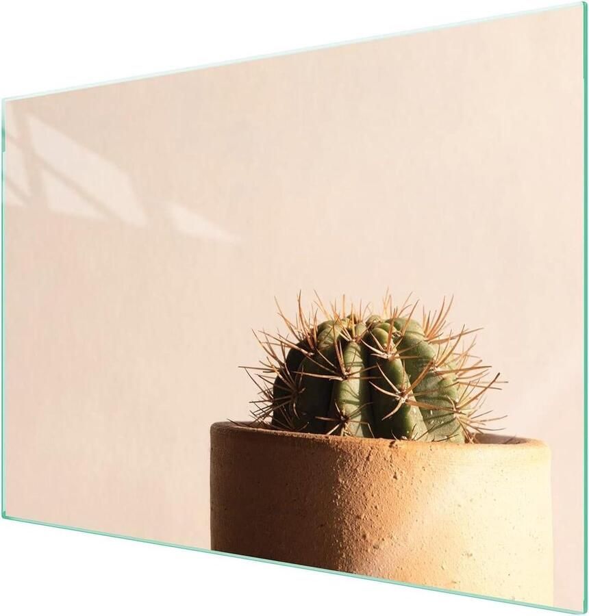 Afdekplaat voor fornuis Werkbladbeschermer Keuken organiseren Gehard glas ontwerp 70 x 52 cm Cactus patroon