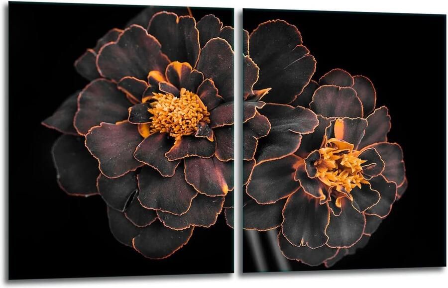 Afdekplaten fornuis Werkbladbeschermer kookplaat Keukenbescherming & Decoratie Gehard glas 4mm 40 x 52 cm Zwarte bloemenprint
