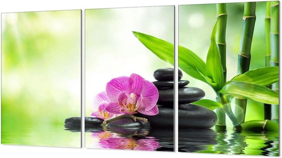 Afdekplaten Kookplaat Glasplaat Decoratie Keuken Beschermen Gehard Glas 30 x 52 cm Orchidee
