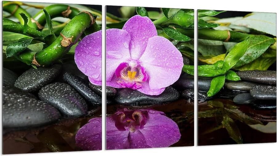 Afdekplaten Kookplaat Werkblad Beschermers Keuken Organisatie Gehard Glas 30 x 52 cm Orchidee