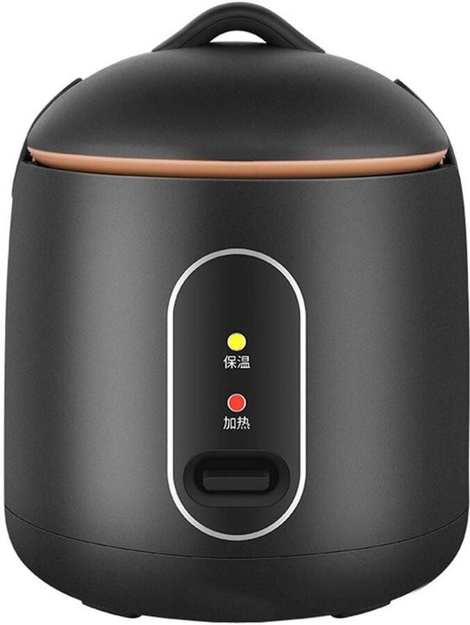 Allecto Compacte Rijstkoker Mini Rijstkoker Efficiënt Koken