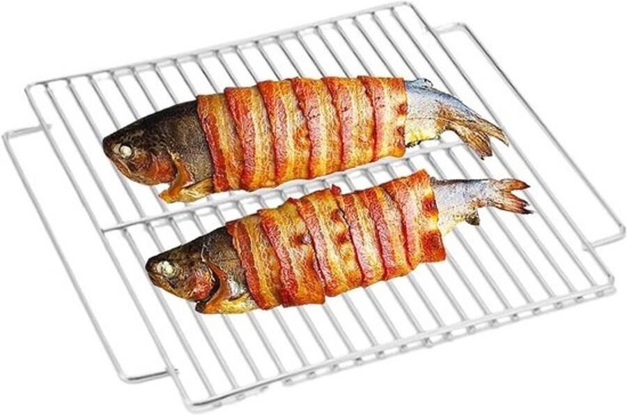 Barbecue Grillrooster Roestvrij Staal Buiten Koken Met Handgrepen 24 x 20 cm Zilver