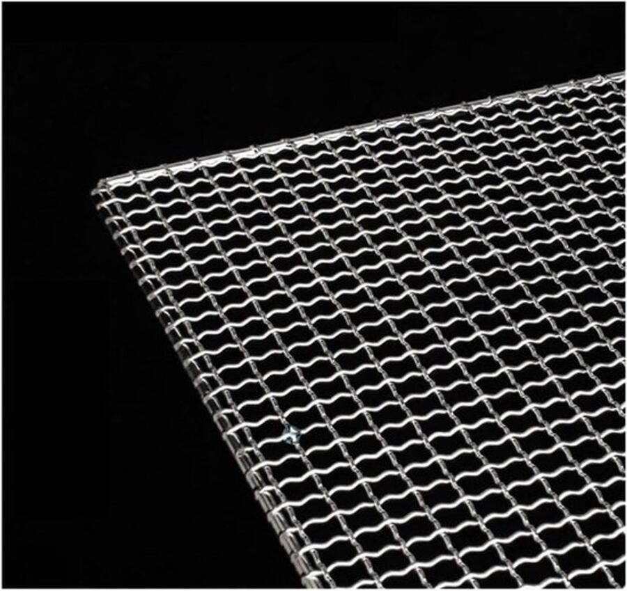 BBQ Grill Gaas Rooster Baknet Buiten Grillen Food-Grade RVS 60 x 50 cm Zilver