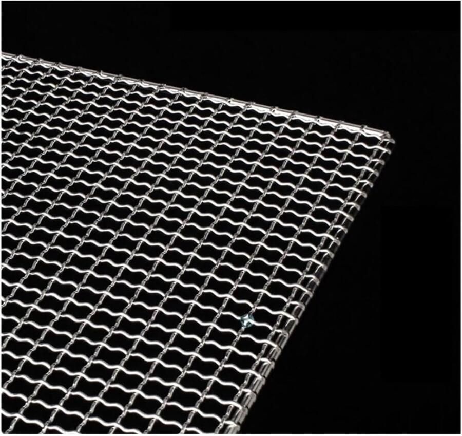 BBQ Grillrooster Roestvrij Staal Buiten Koken Gelijkmatige Hitte 43 x 29.5 cm Zilver