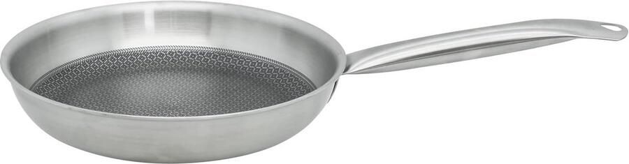 Braadpan Roestvrij Staal Koekenpan Antiaanbak Dagelijks Koken PFAS-vrije Minerale Coating 24 cm Zilver