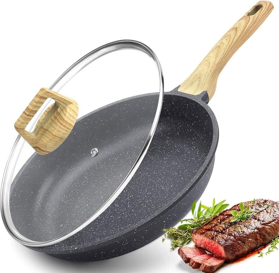 Braadpan met deksel Gegoten pan Alle warmtebronnen PFOS PFOA-vrij 24 cm Grijs