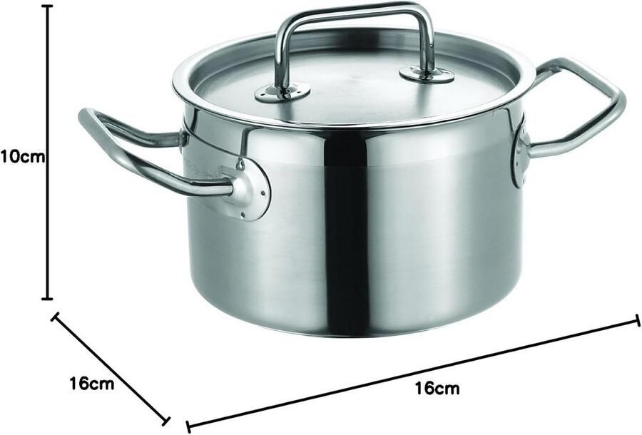 Braadpan met deksel Kookpan Stoofpan Langzaam Garen Energiebesparende bodem 16 cm Zilver