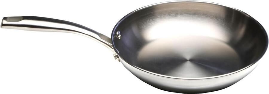 Braadpan Roestvrij Staal Kookpan Gelijkmatig Koken Drielaagse Bodem Ø 20 cm Zilverkleurig