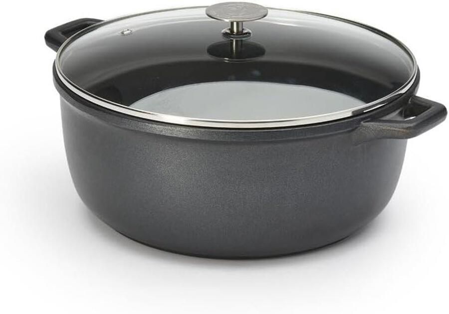 Braadpan Roestvrij Staal Kookpan Met Deksel Langzaam Garen Robuuste Constructie 28 cm Diameter Zilver