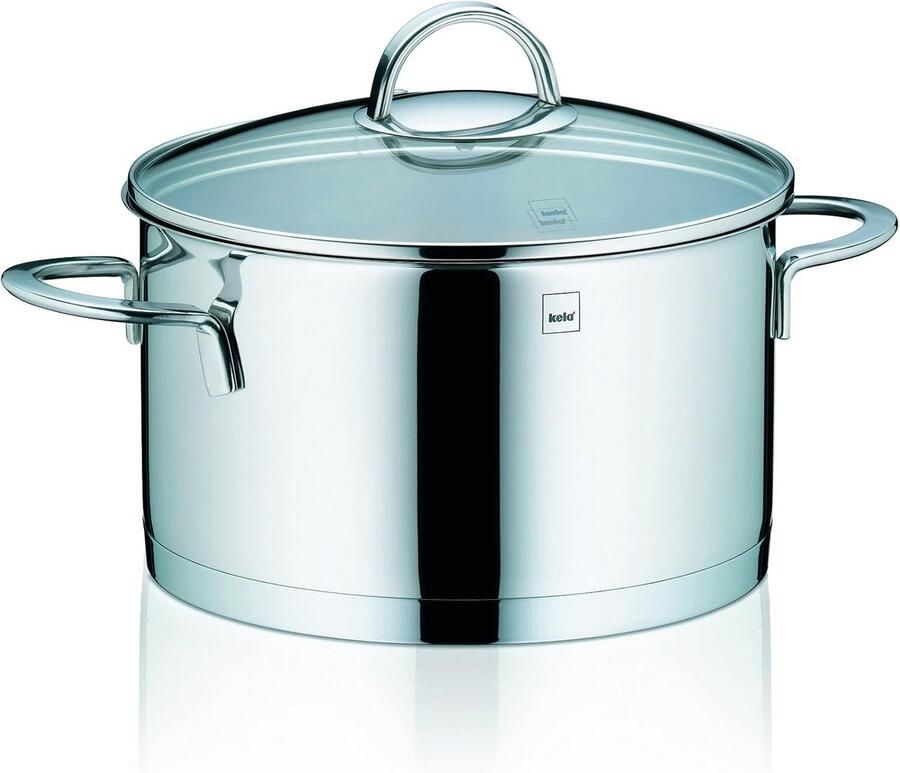 Braadpan Roestvrij Staal Kookpan met Deksel Mee Koken Vergulde Bodem 20 cm Diameter Zilverkleurig