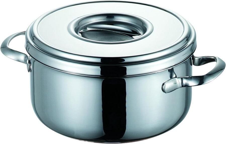 Braadpan Stoofpan Kookpan Langzaam Garen Protherm Koperen Bodem 22 cm Zilverkleurig