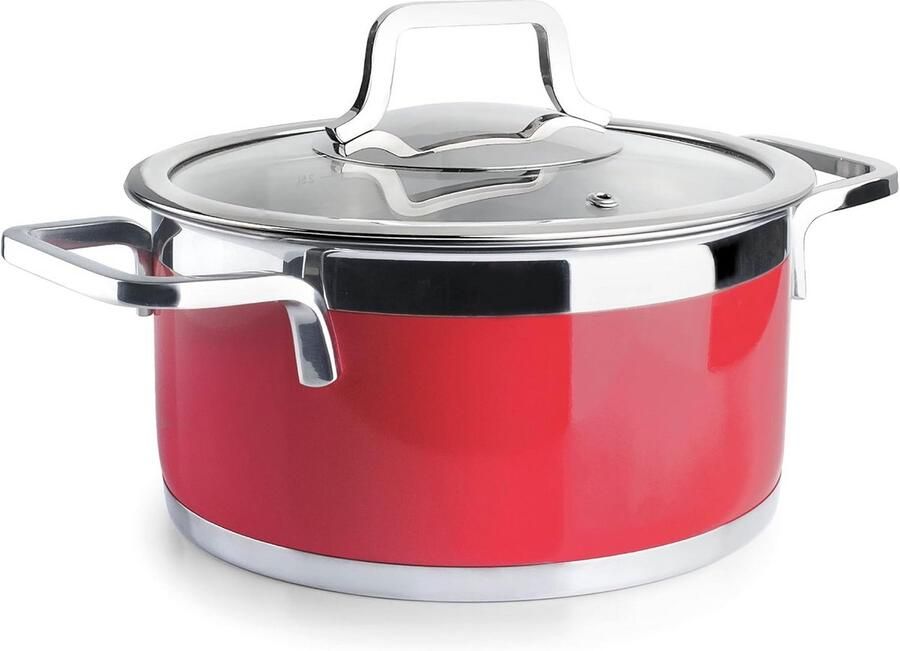 Buffetpan met Netdeksel RVS 24 cm Geschikt voor Inductie