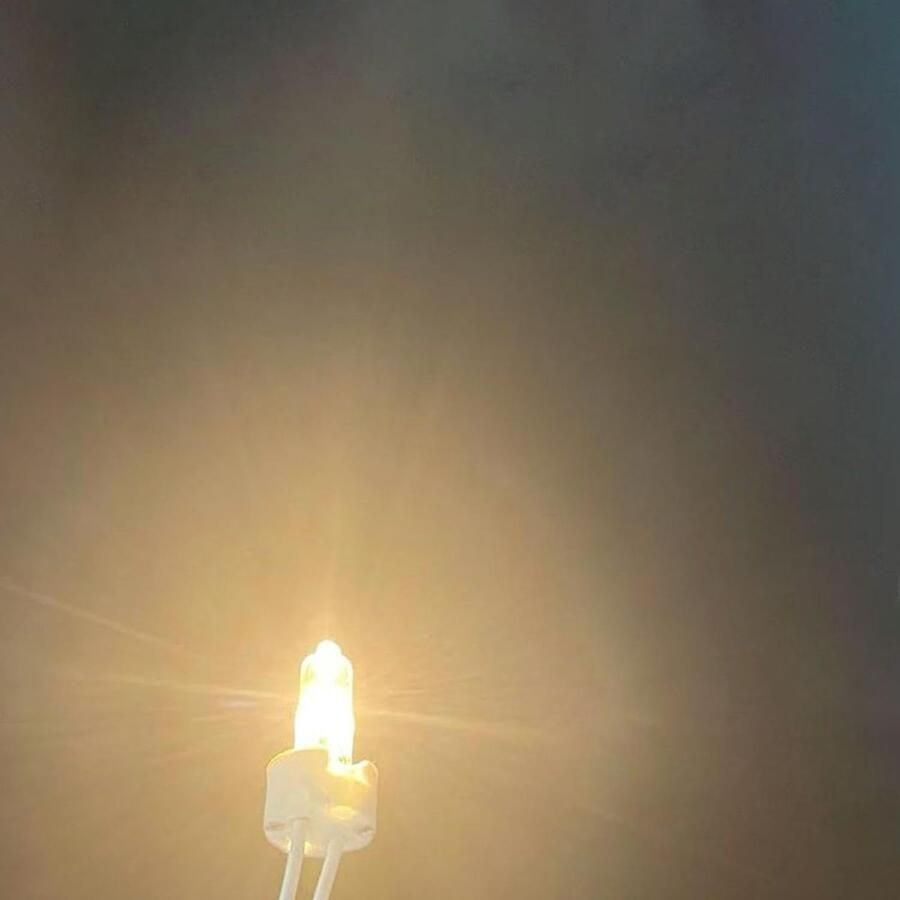 Capsule Lamp G4 Halogeenlampen Dimbaar Afzuigkap Verlichting Warm Wit Licht 20 Watt