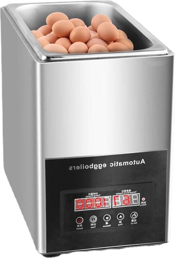 Commerciële Eierkoker Professionele Eierkoker Grote Hoeveelheden Koken Intelligente Microcomputer 9 Liter Zilver