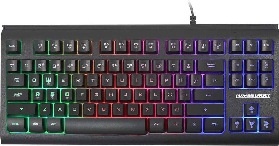 Compact 88-toetsen Gaming Toetsenbord met Regenboog LED Verlichting en Multimedia Sneltoetsen