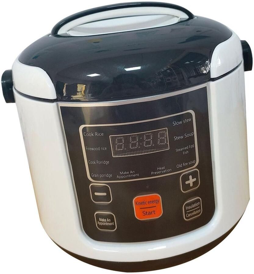 Dailygoods Draagbare Elektrische Rijstkoker van 2 Liter
