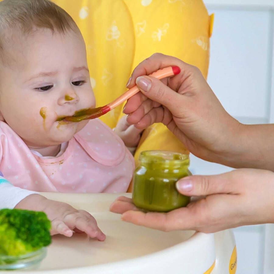 Draagbare blender van 427 ml met dubbele beker (groot en klein) oplaadbaar via USB met 10 messen blender voor shakes en smoothies aanvullend voedsel crushed ijs roestvrijstalen messen voor buiten en op reis