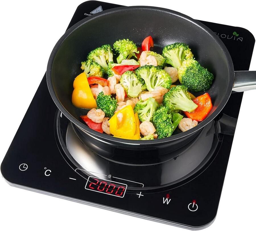 Draagbare Inductiekookplaat 2000W Met Timer en Touch Control Glas
